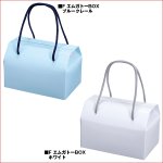 画像2: F エムガトーBOX (2)